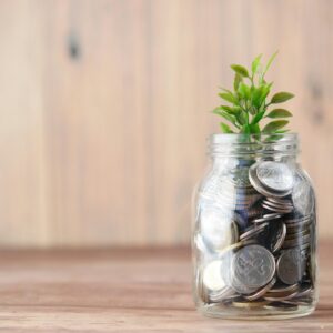 5% Monthly Interest Investment